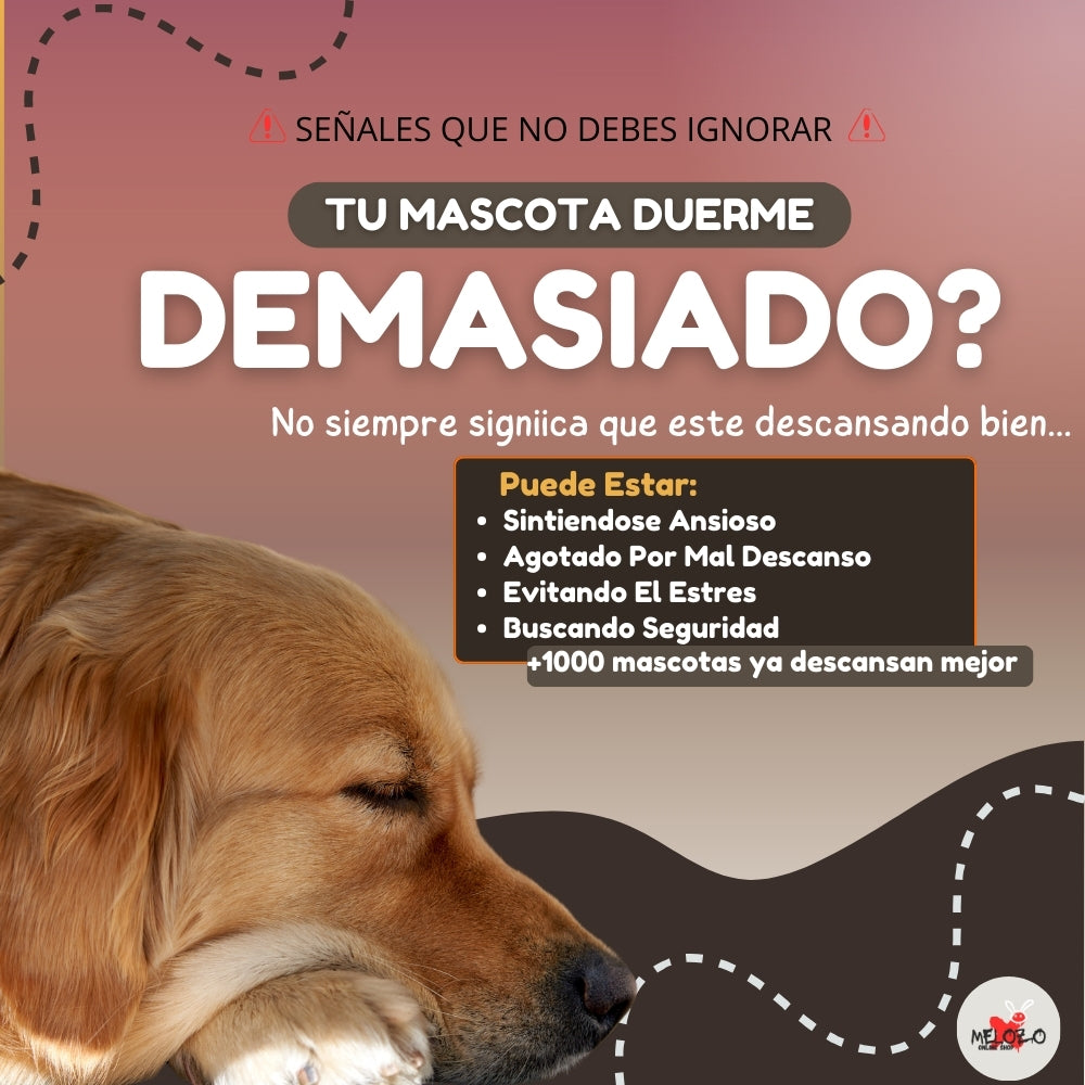 Calm Paws® Cama Anti Estrés Para Perros